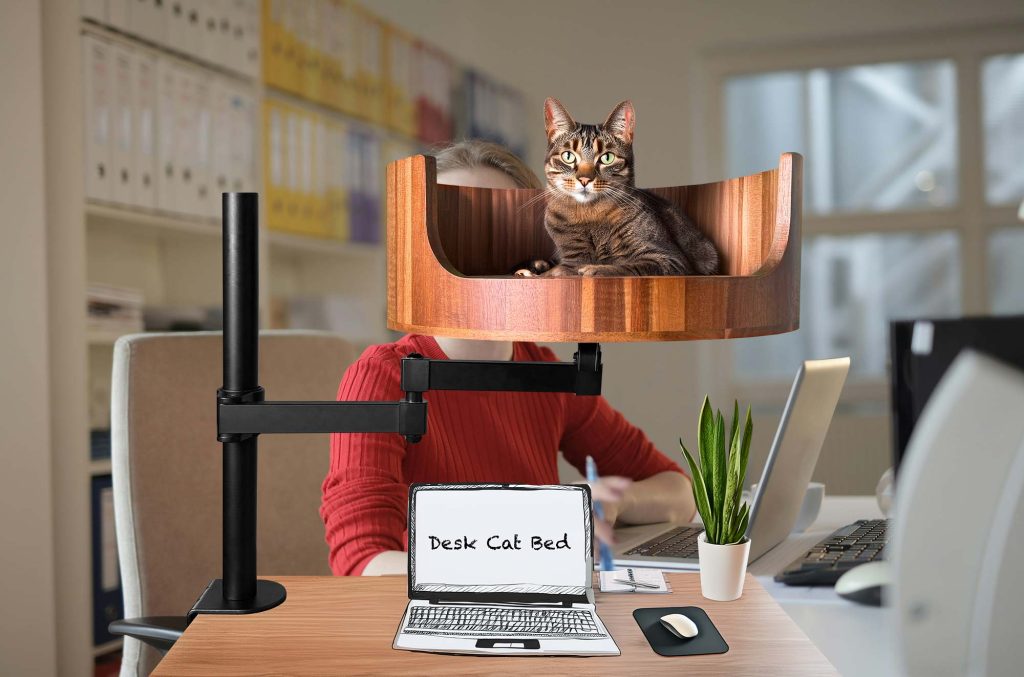 adult cat bed