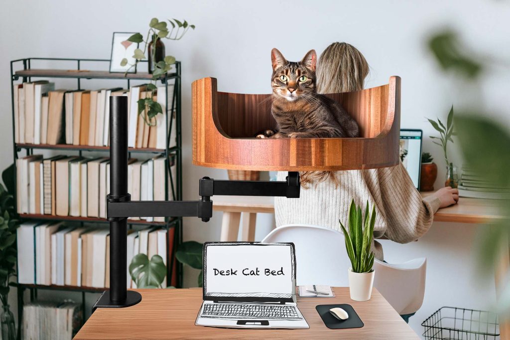 aldi cat bed