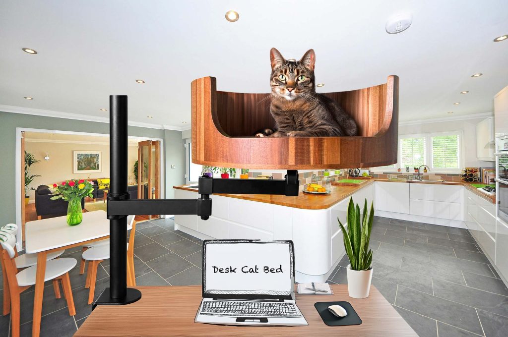 best cat bed