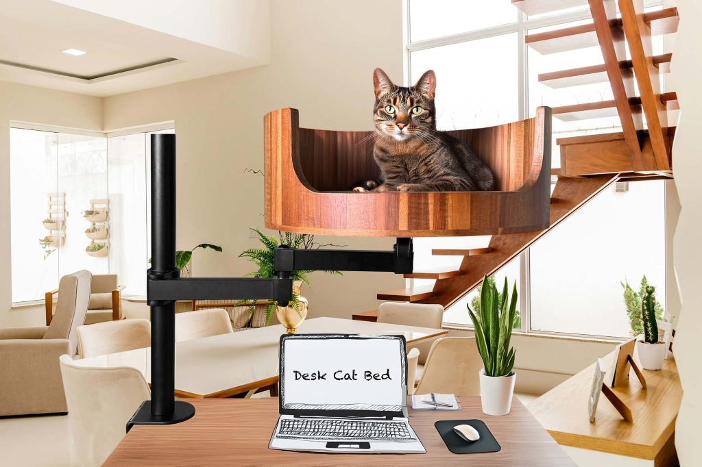 big w cat bed