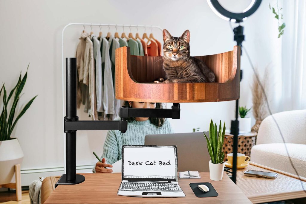 b&m cat bed