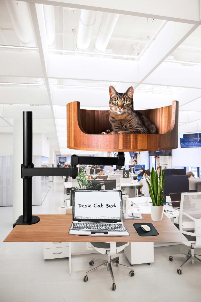 can you wash a cat bed