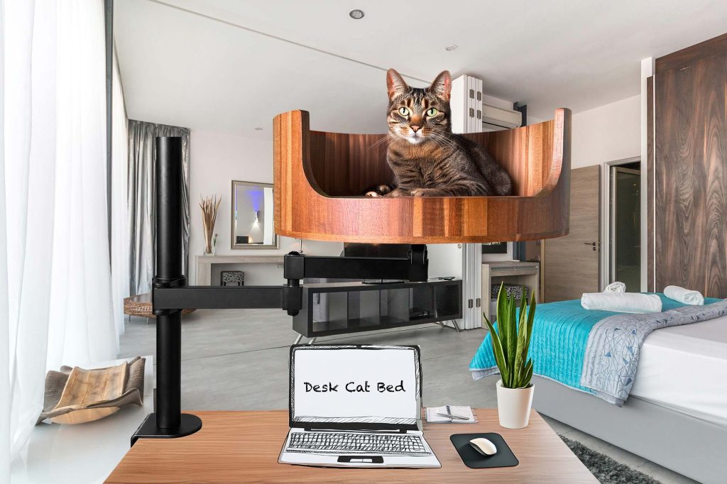 cat bed 5 below
