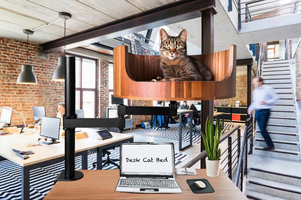 cat bed aldi