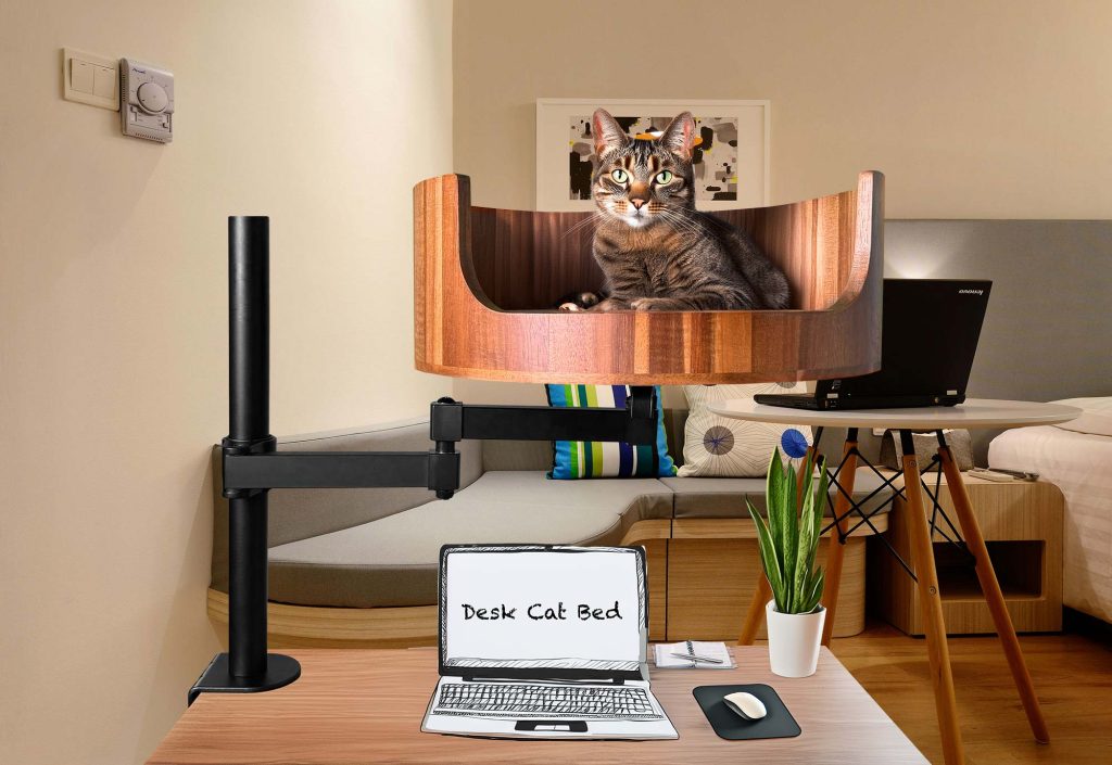 cat bed amazon