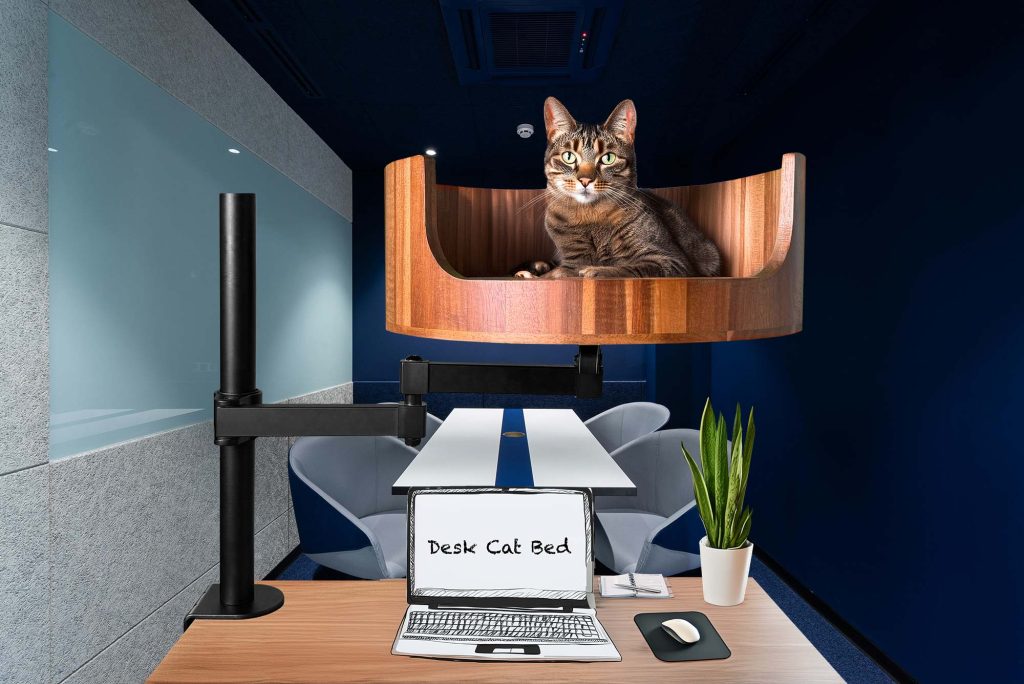cat bed big
