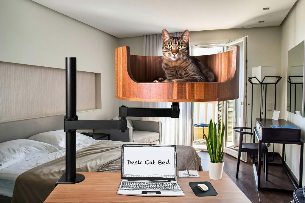 cat bed black