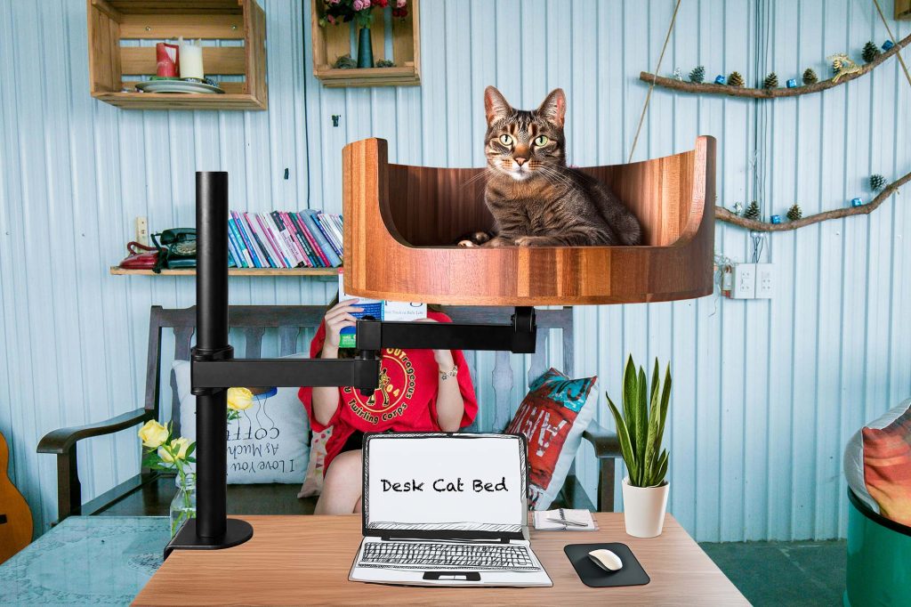 cat bed cave