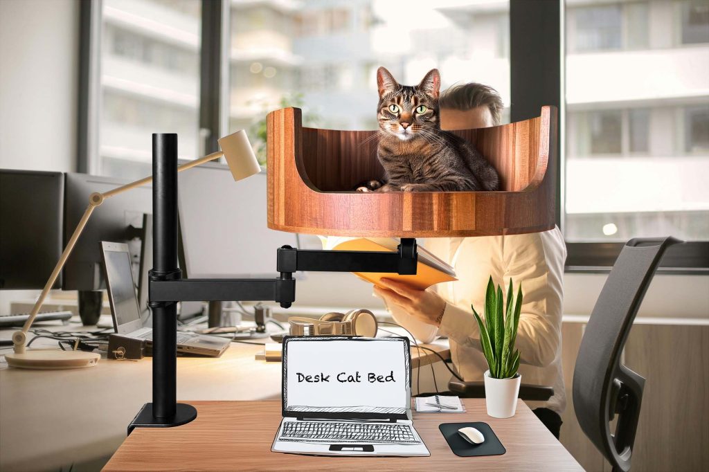 cat bed cost