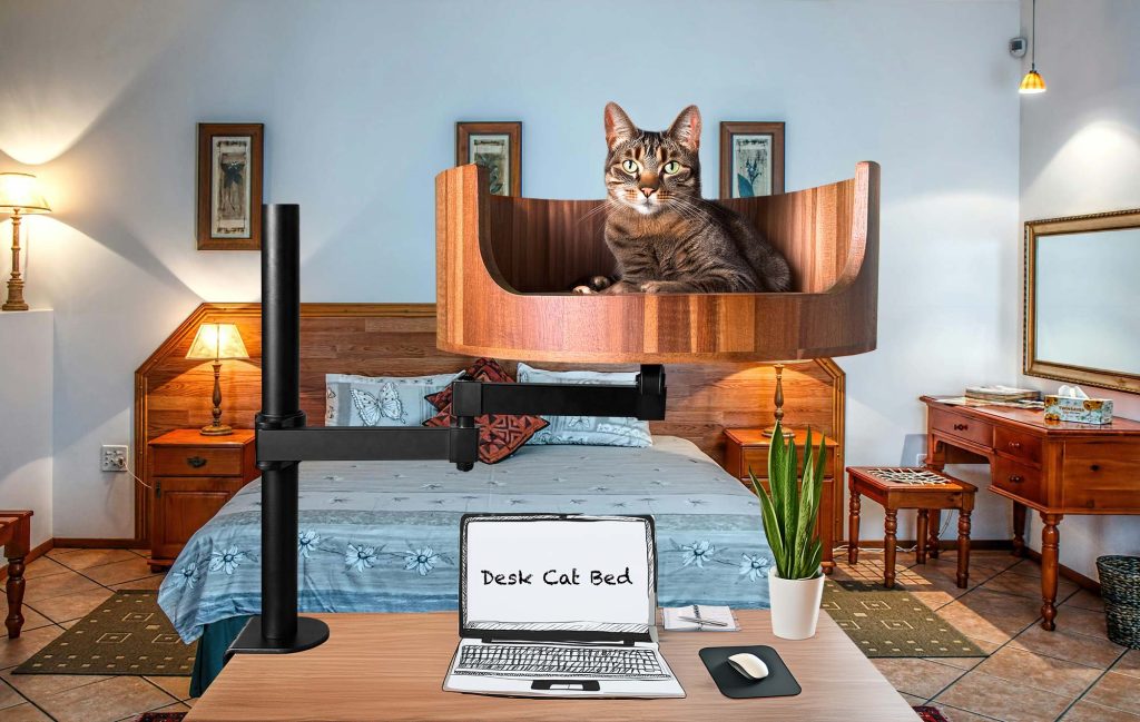 cat bed cute