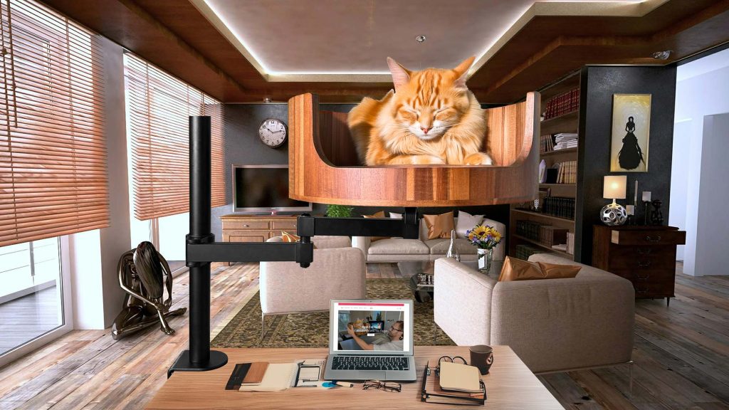 cat bed desk