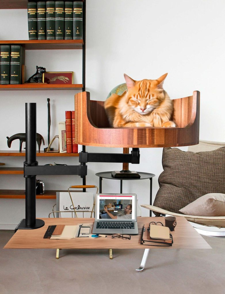 cat bed desk clamp