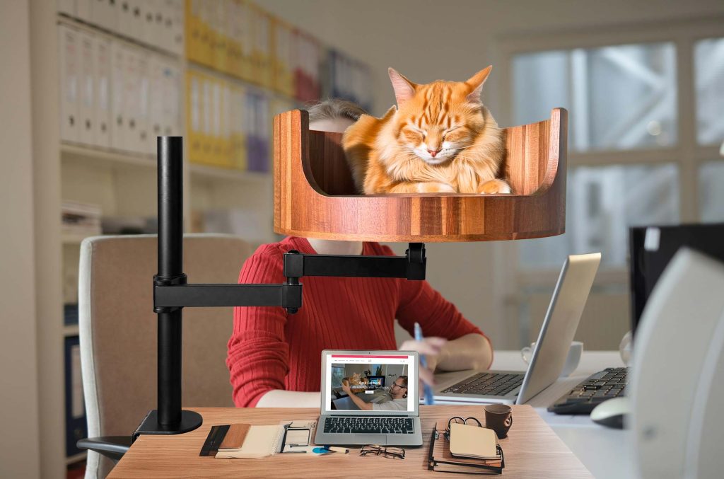 cat bed desk mount