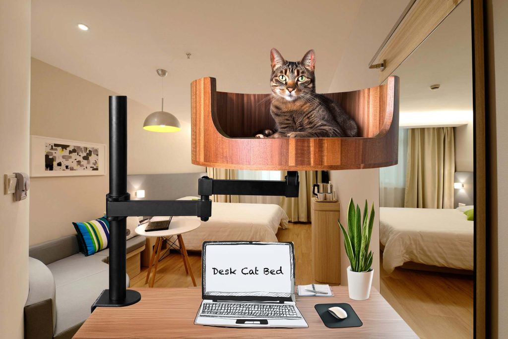 cat bed for humans