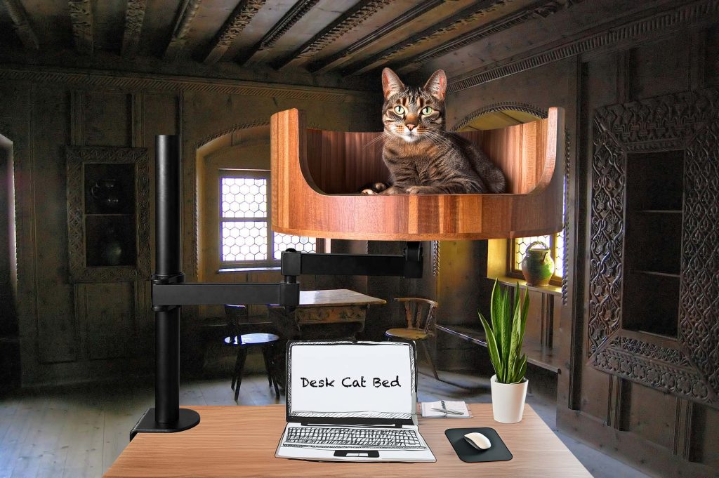 cat bed gif