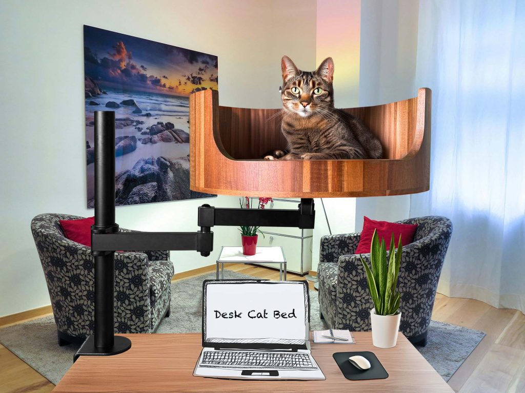 cat bed heater