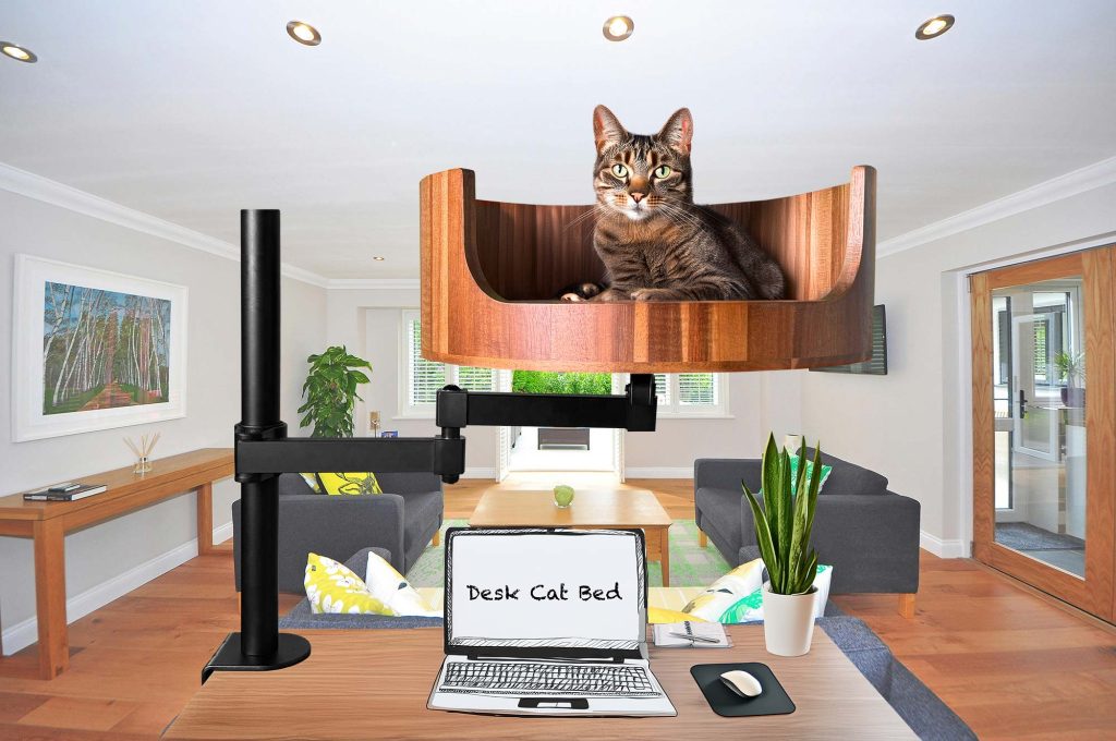 cat bed house