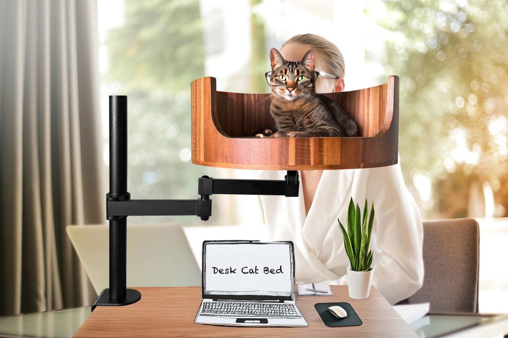 cat bed hut