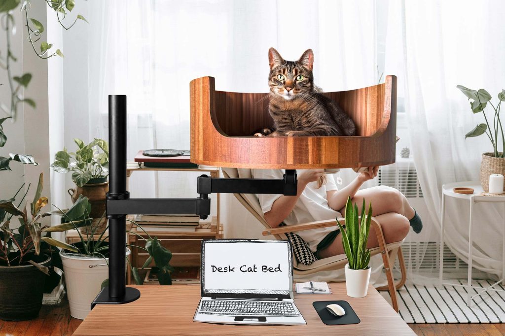 cat bed like a cardboard box