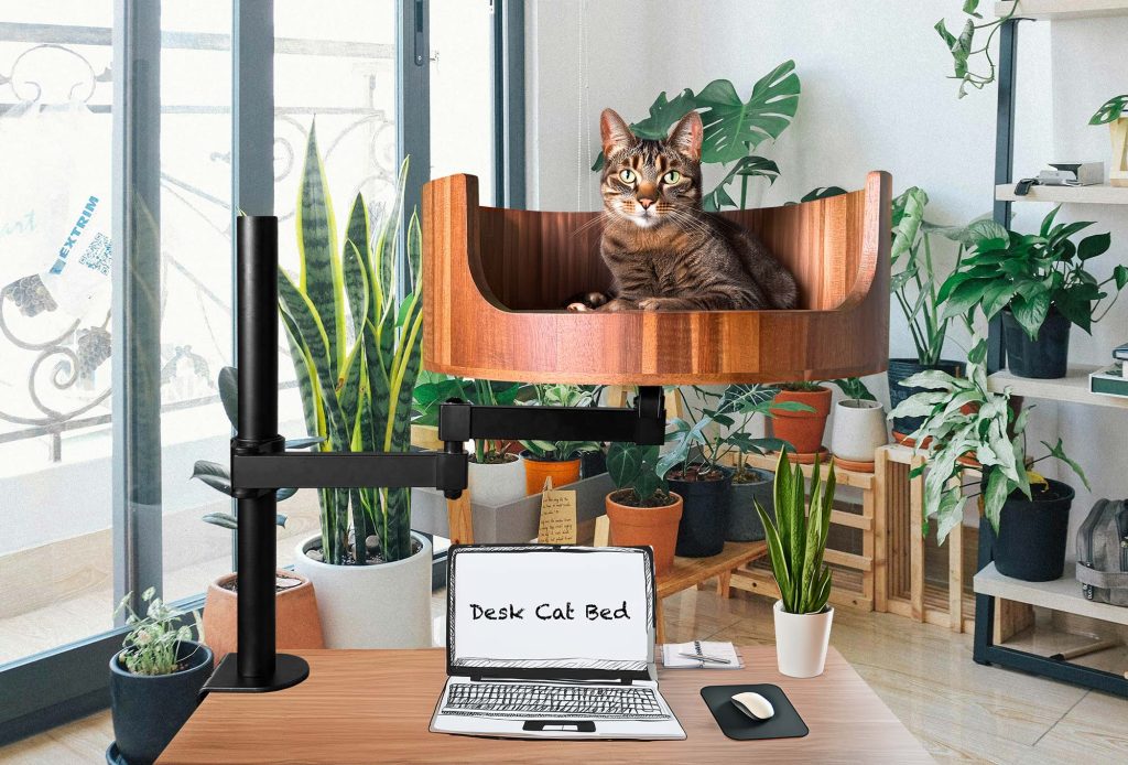 cat bed minecraft