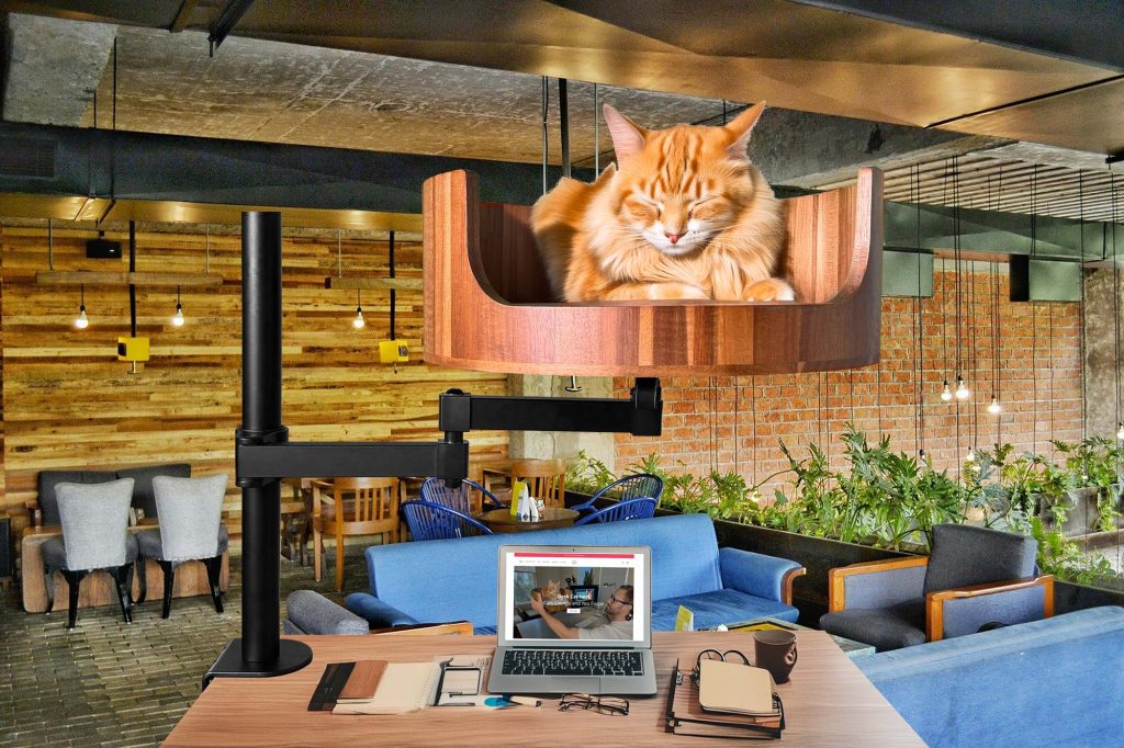 cat bed on desk