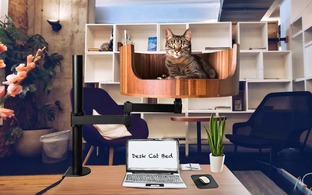 cat bed under 500