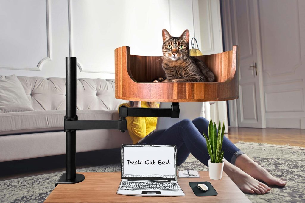 cat bed under bed