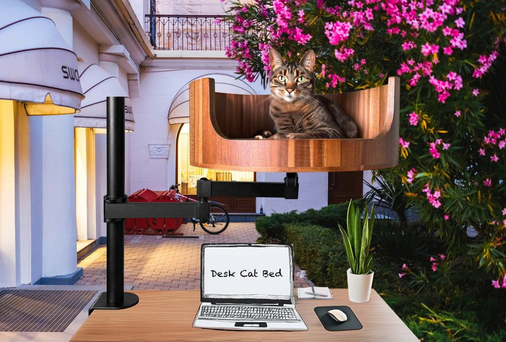 cat bed vacuum