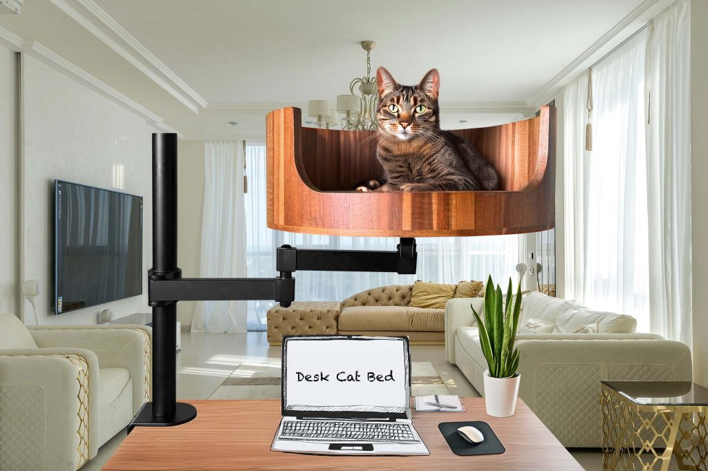 cat bed window