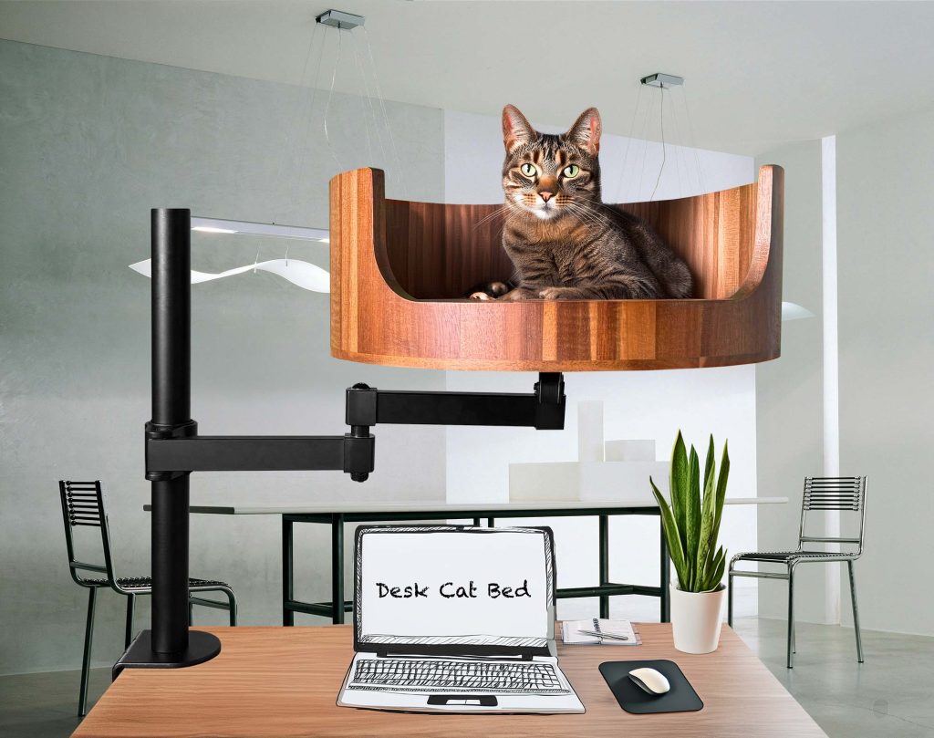 cat beds amazon
