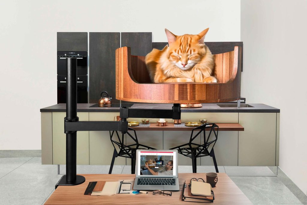 cat hammock for desk