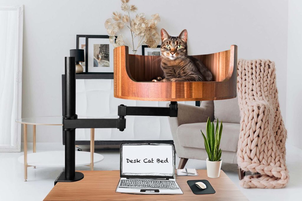 cat house jakarta