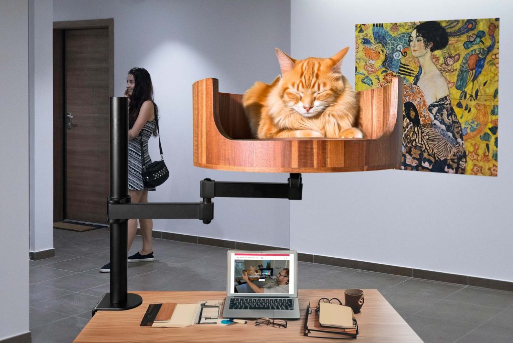 cat nest