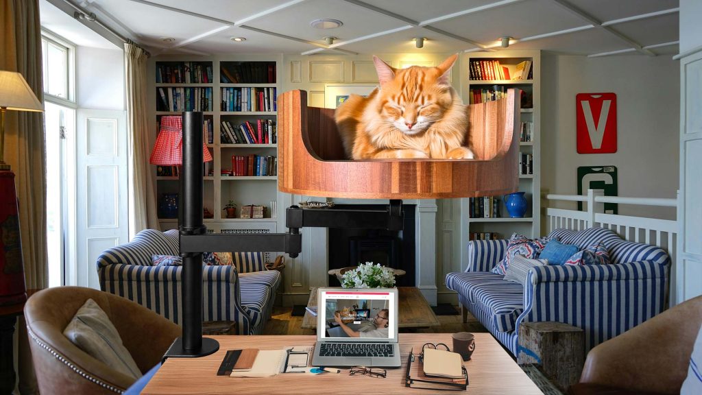 cat nest bed