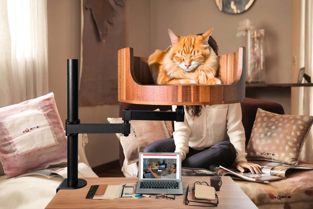 cat nesting bed