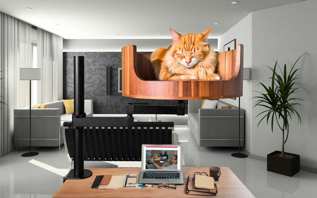 cat table bed