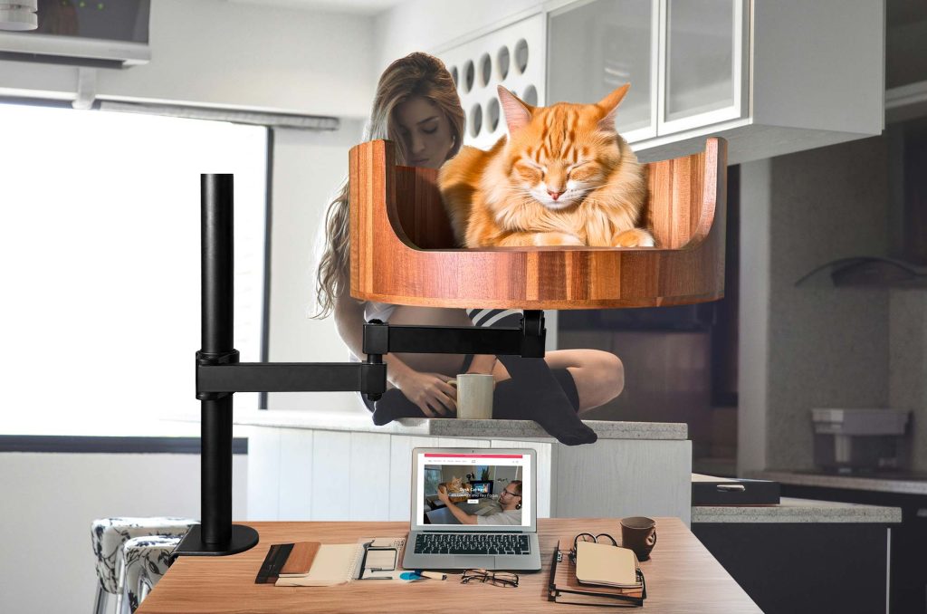 cat with arm on table