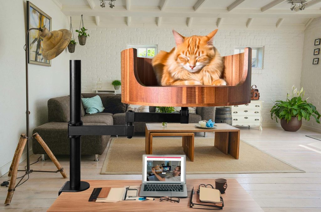 cats in tight spaces