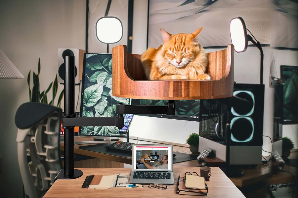 clamp on desk cat bed