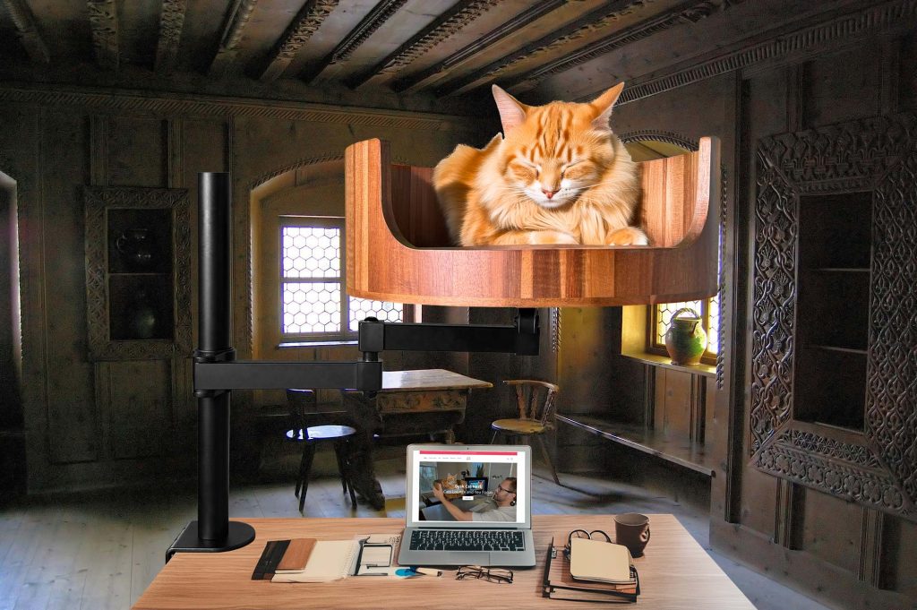 clip on cat bed for desk