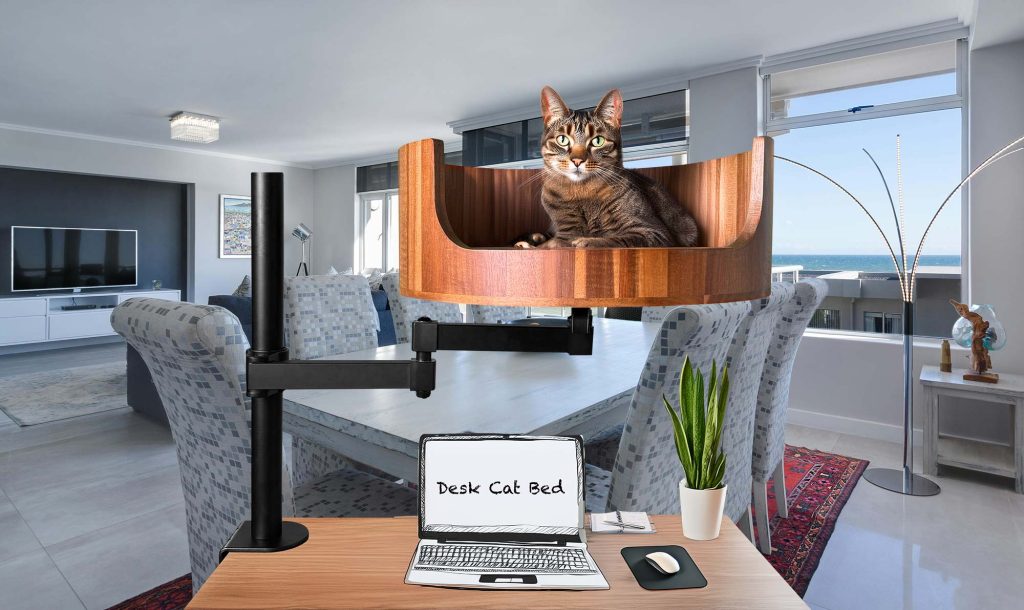 coffin cat bed