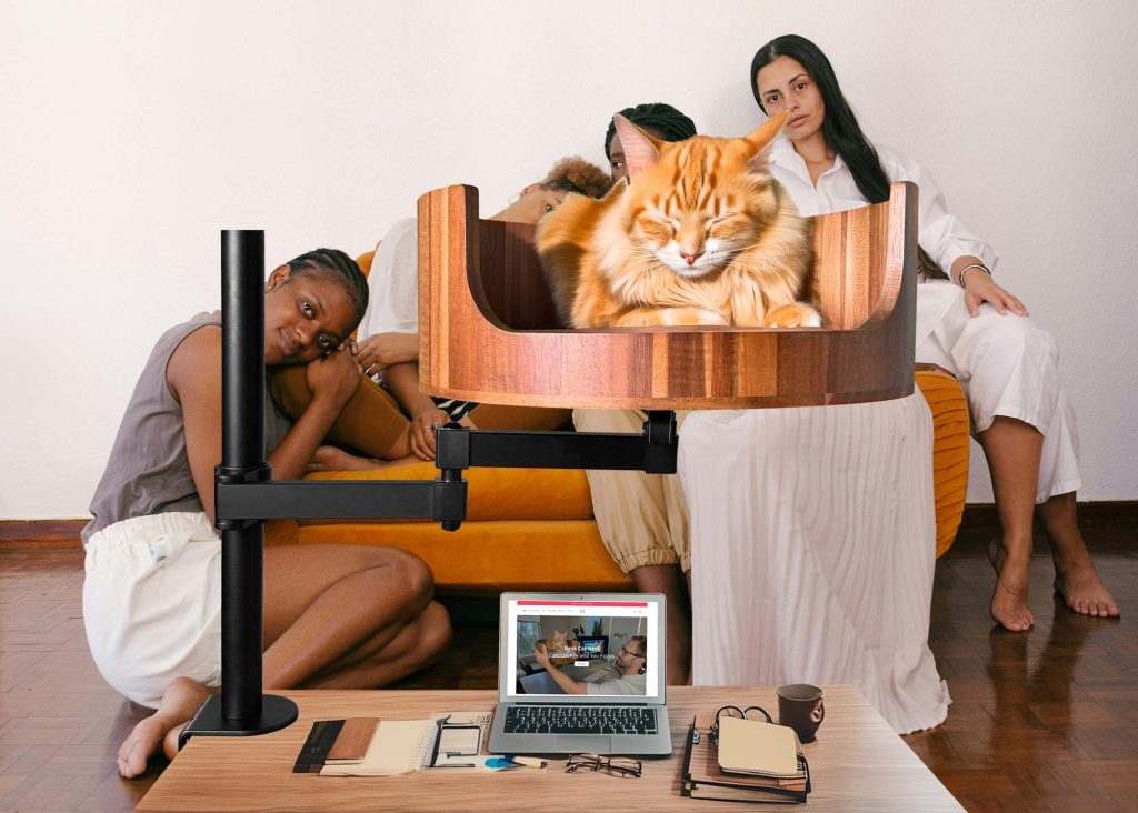 desk bed for cats
