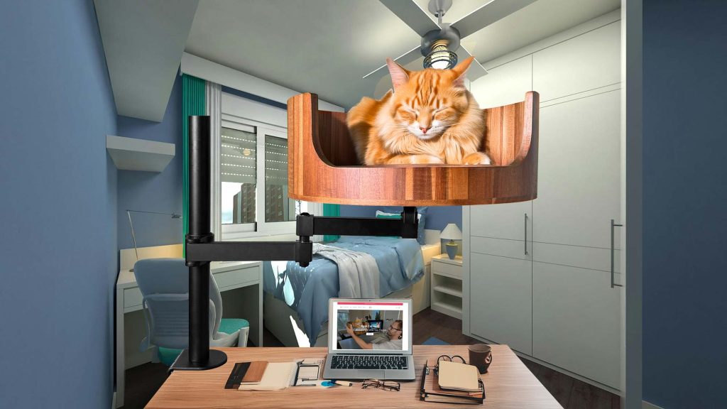 desk cat