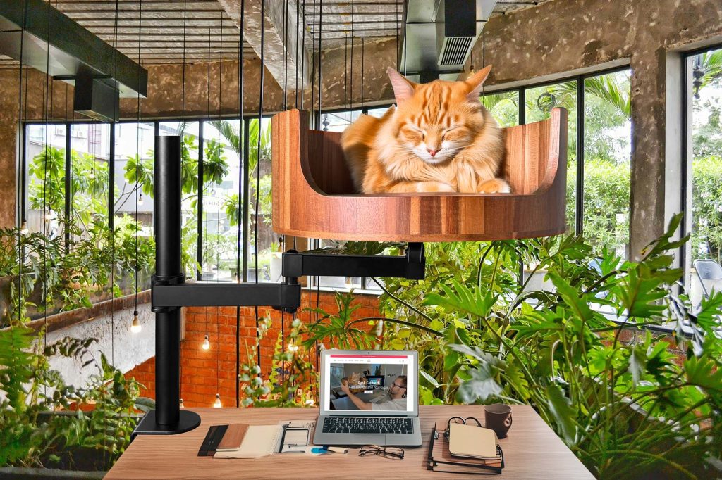 desk mount cat bed