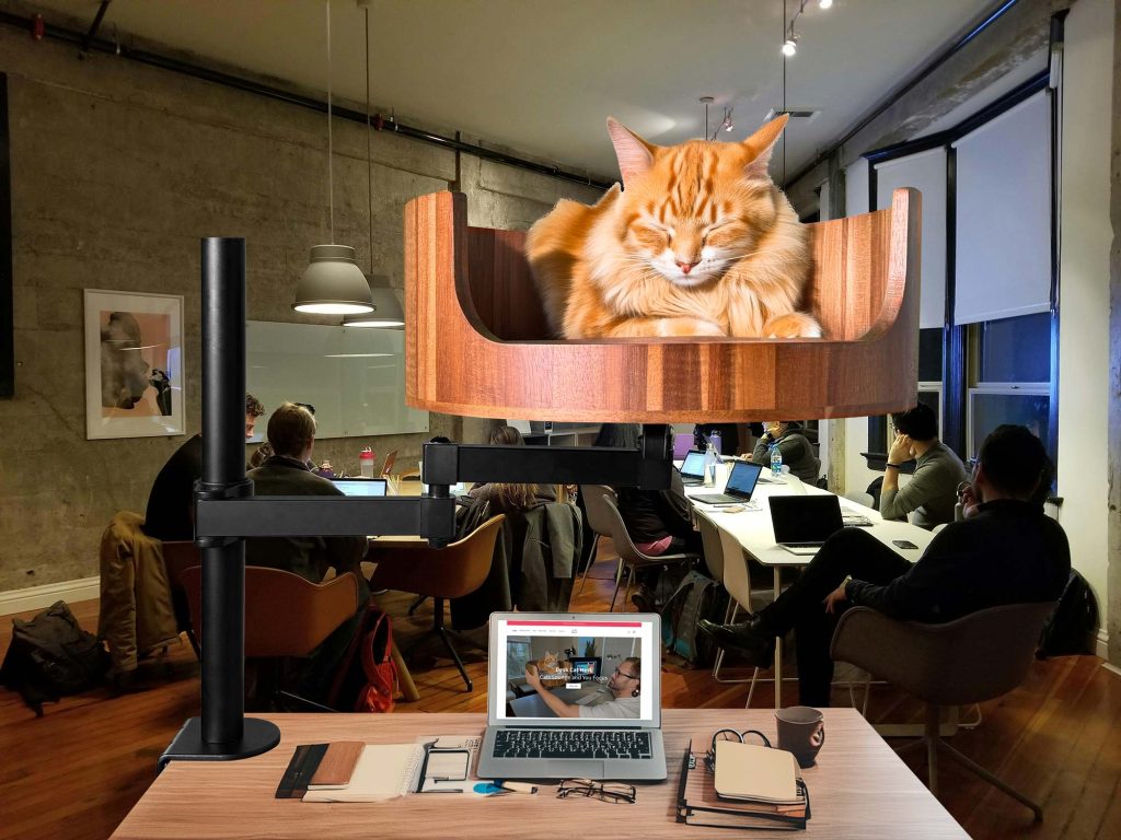 desk top cat bed