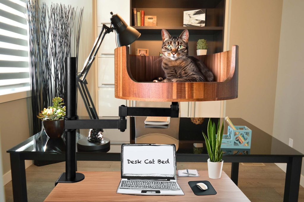 elevated cat bed