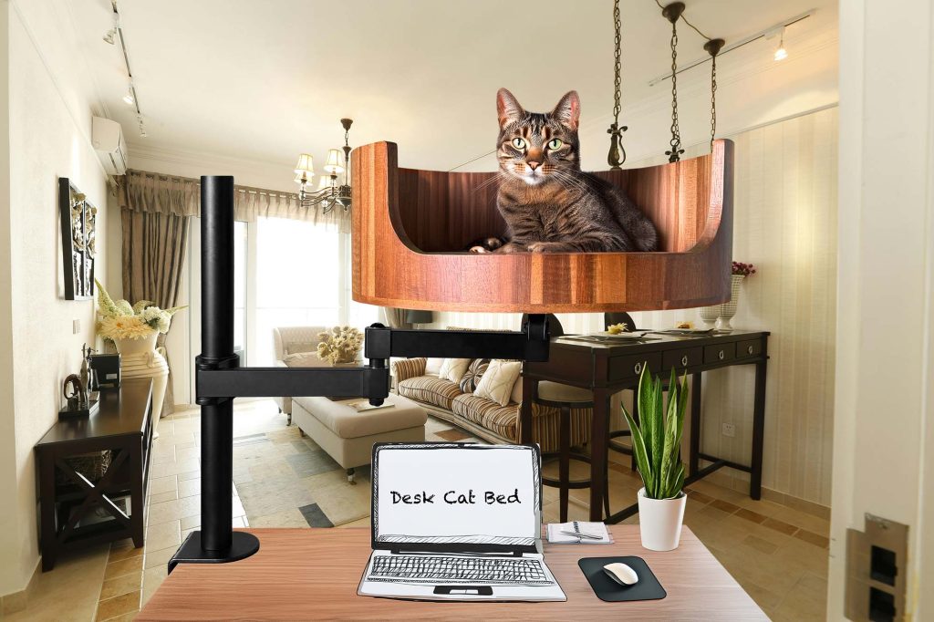 emma chamberlain cat bed