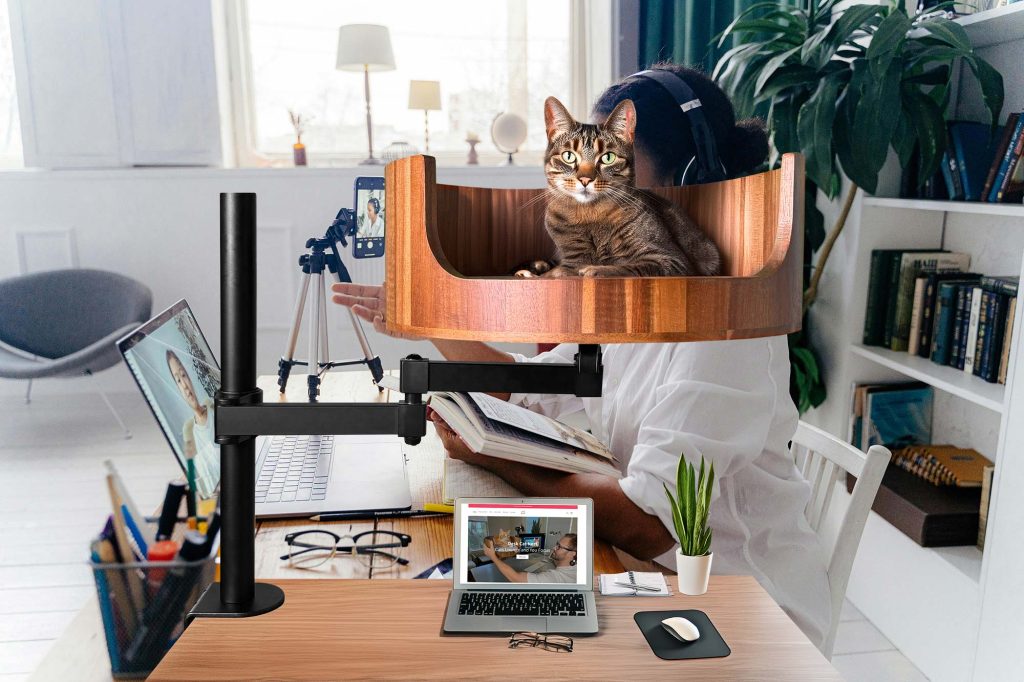 essential oils killed my cat reddit