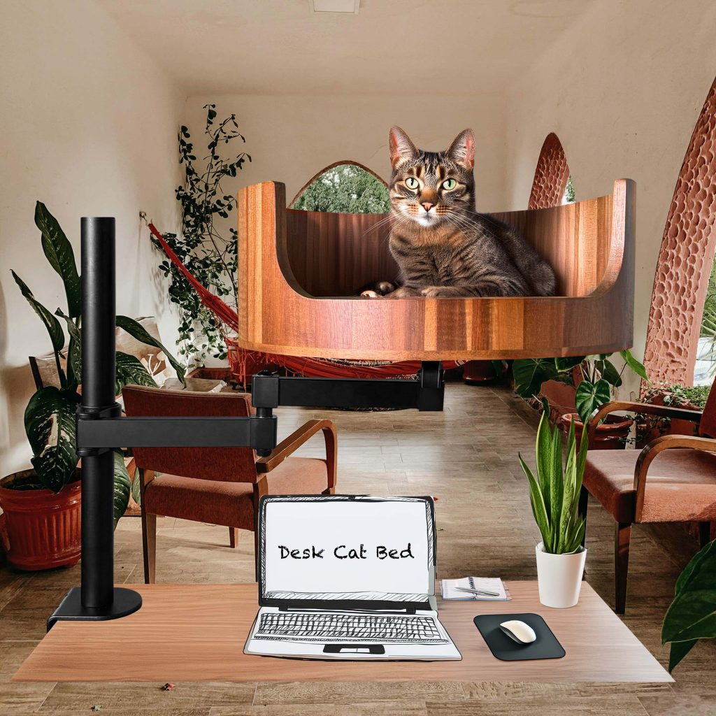 extra large cat bed