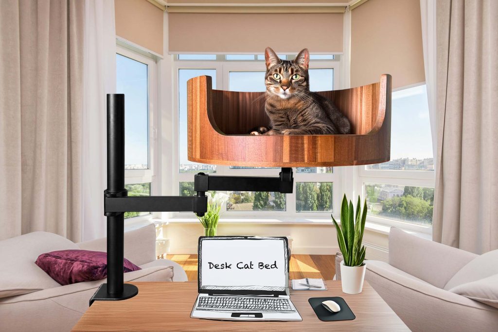 fancy cat bed